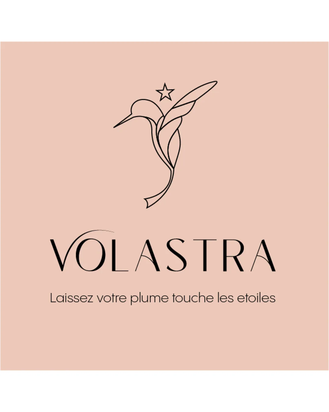 Volastra Stylized Bird With A Star Combination Mark Logo Review