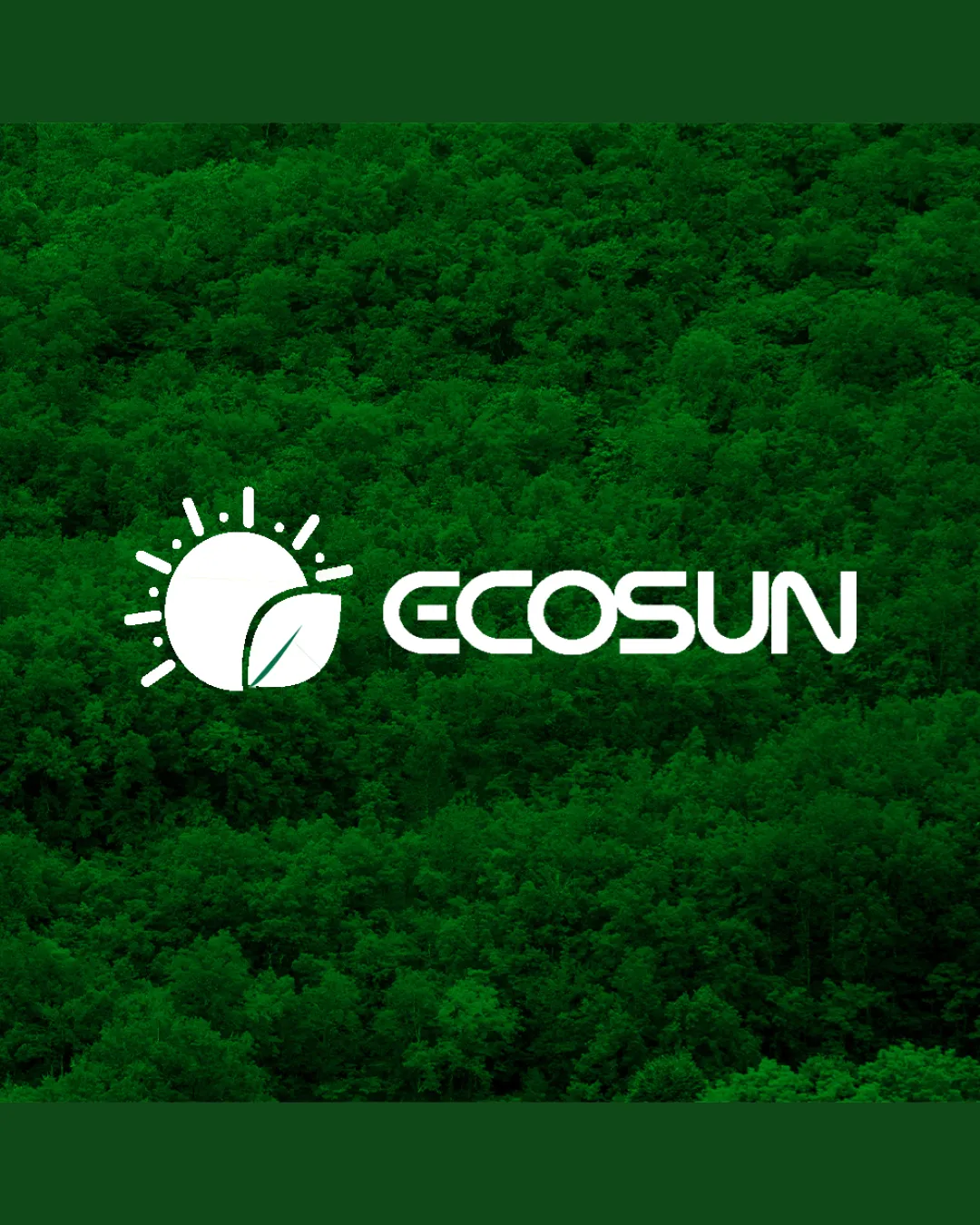 Ecosun Sun With A Leaf Combination Mark Logo Review