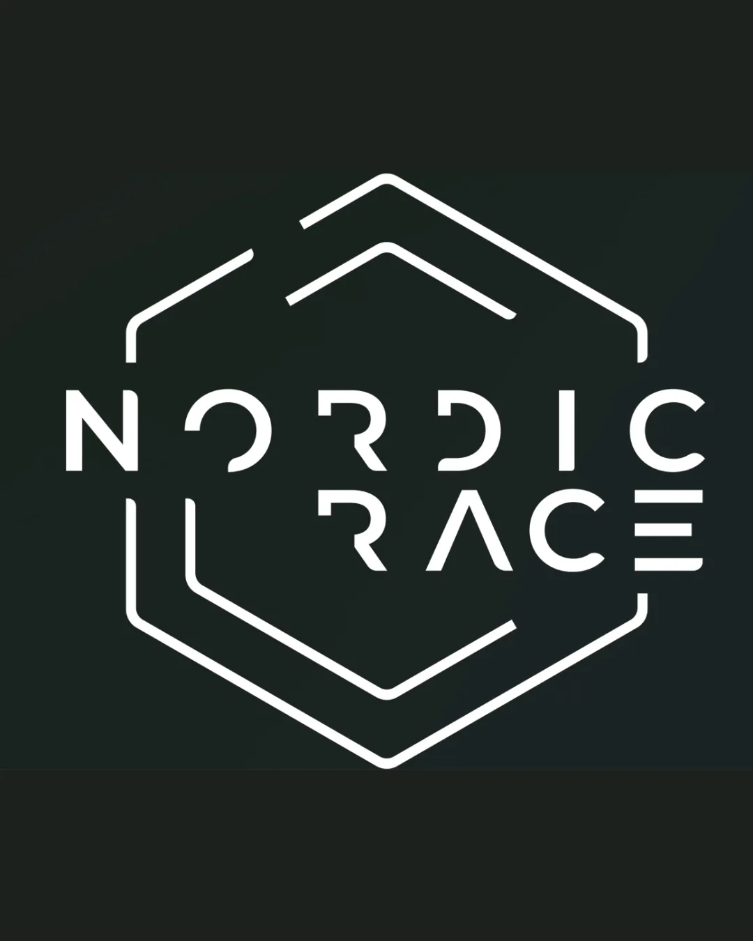 Nordic Race Hexagonal Shape Wordmark With Abstract Shape Logo Review