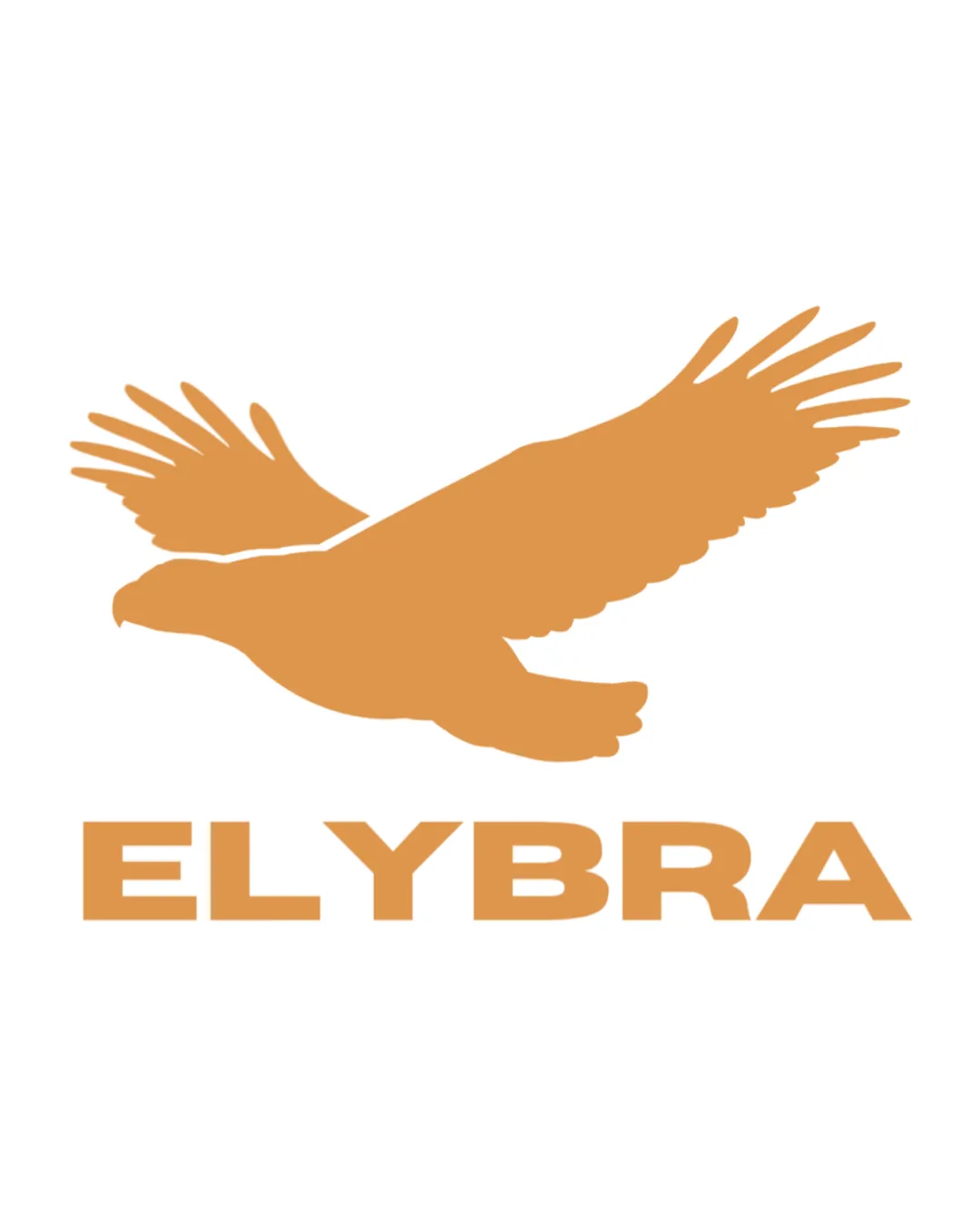 Elybra Eagle Combination Mark Outdoor Sports Nature Modern Logo Review