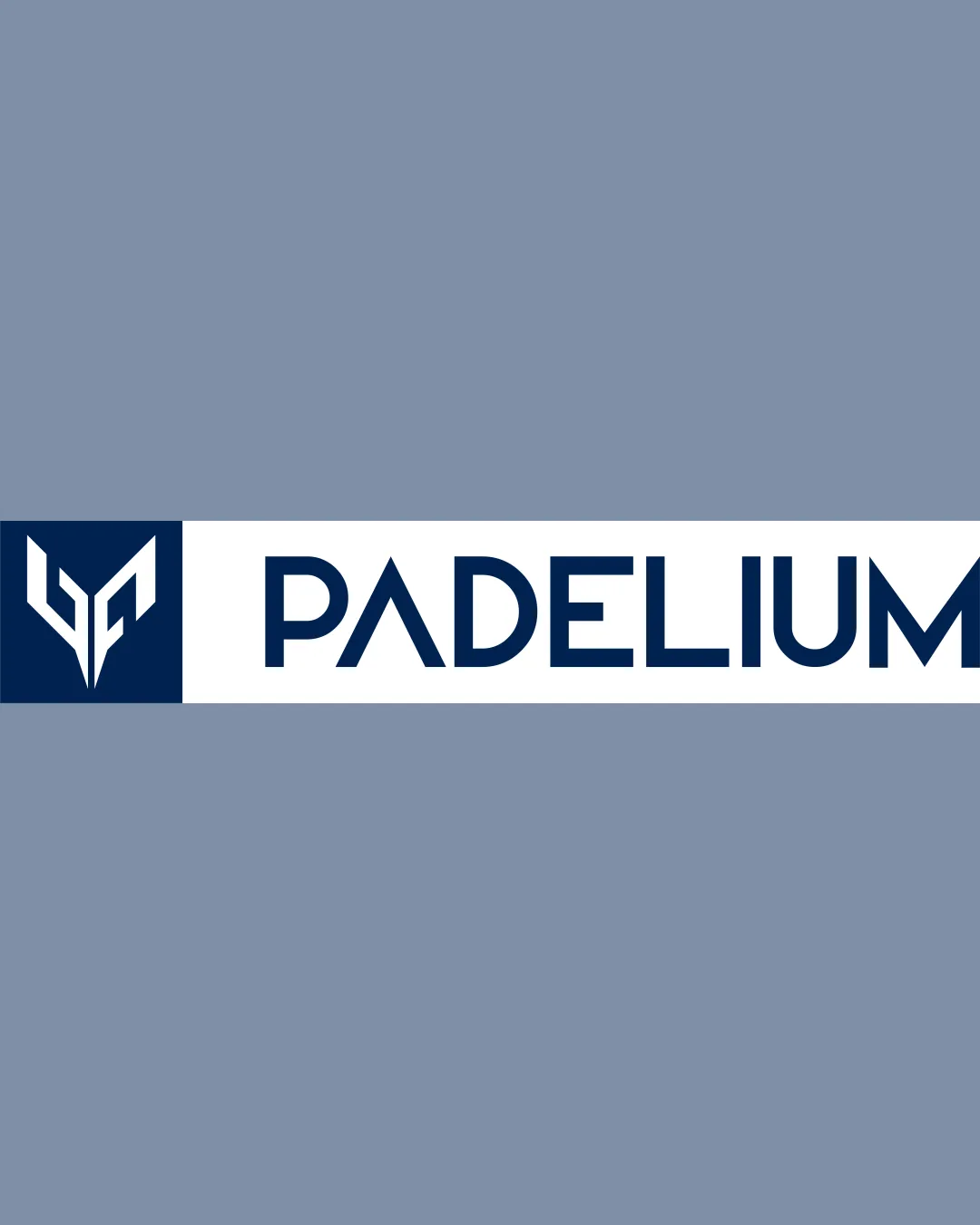 Padelium Stylized Monogram With Mirrored Abstract Shapes Possibly Forming A P Or Wings Combination Mark Sports Modern Geometric Logo Review