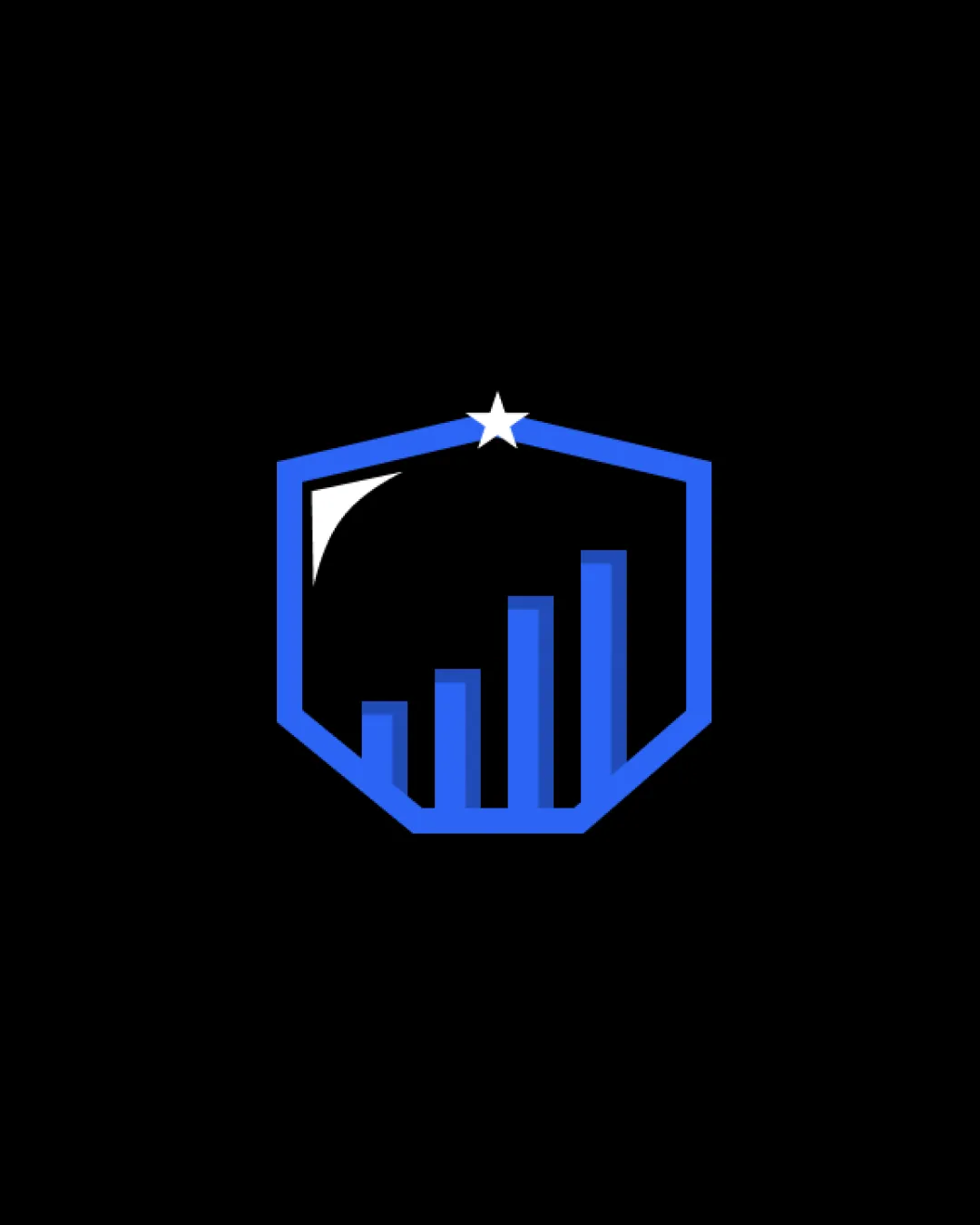 Hexagonal Shield Upward Bar Graph Star Combination Mark Finance Modern Geometric Minimal Logo Review