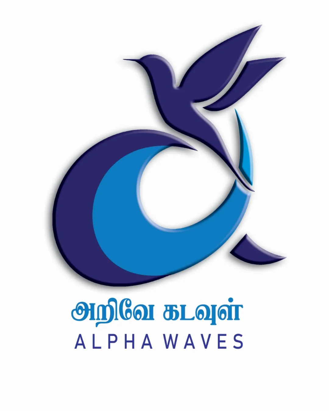 alt=
