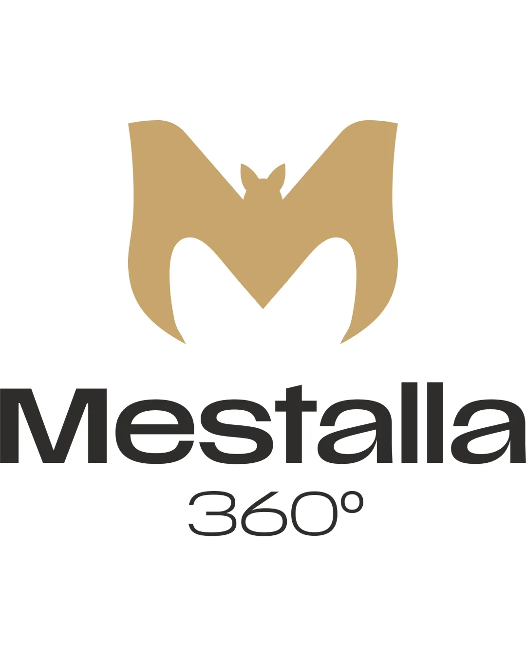 Mestalla 360 M Shaped Bat Silhouette Combination Mark Tourism Modern Minimalist Logo Review