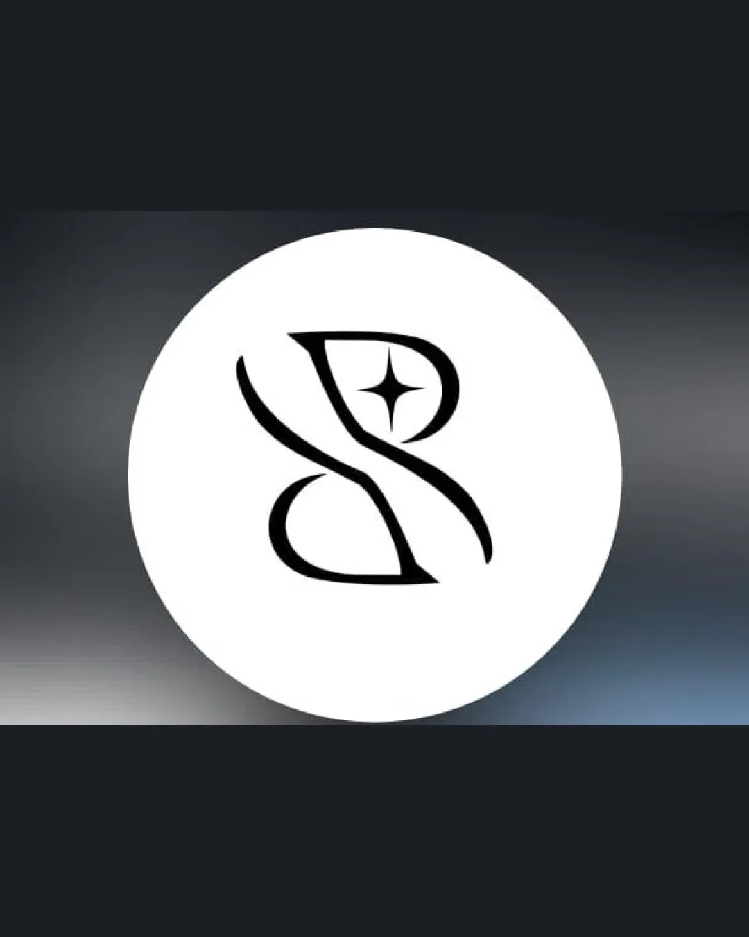 S B S And B Letterform With A Star Shape Inside Upper Curve Lettermark Luxury Modern Minimal Monogram Logo Review