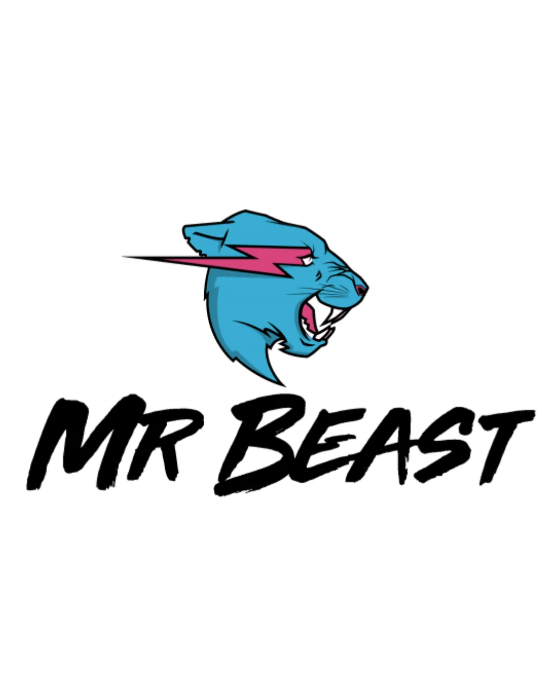 MR BEAST logo review