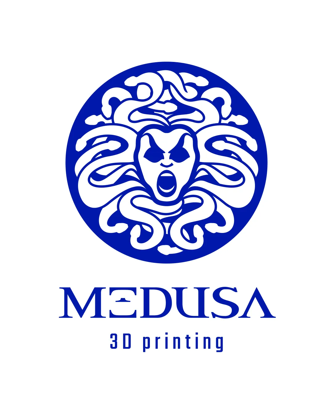 MEDUSA 3D printing logo review