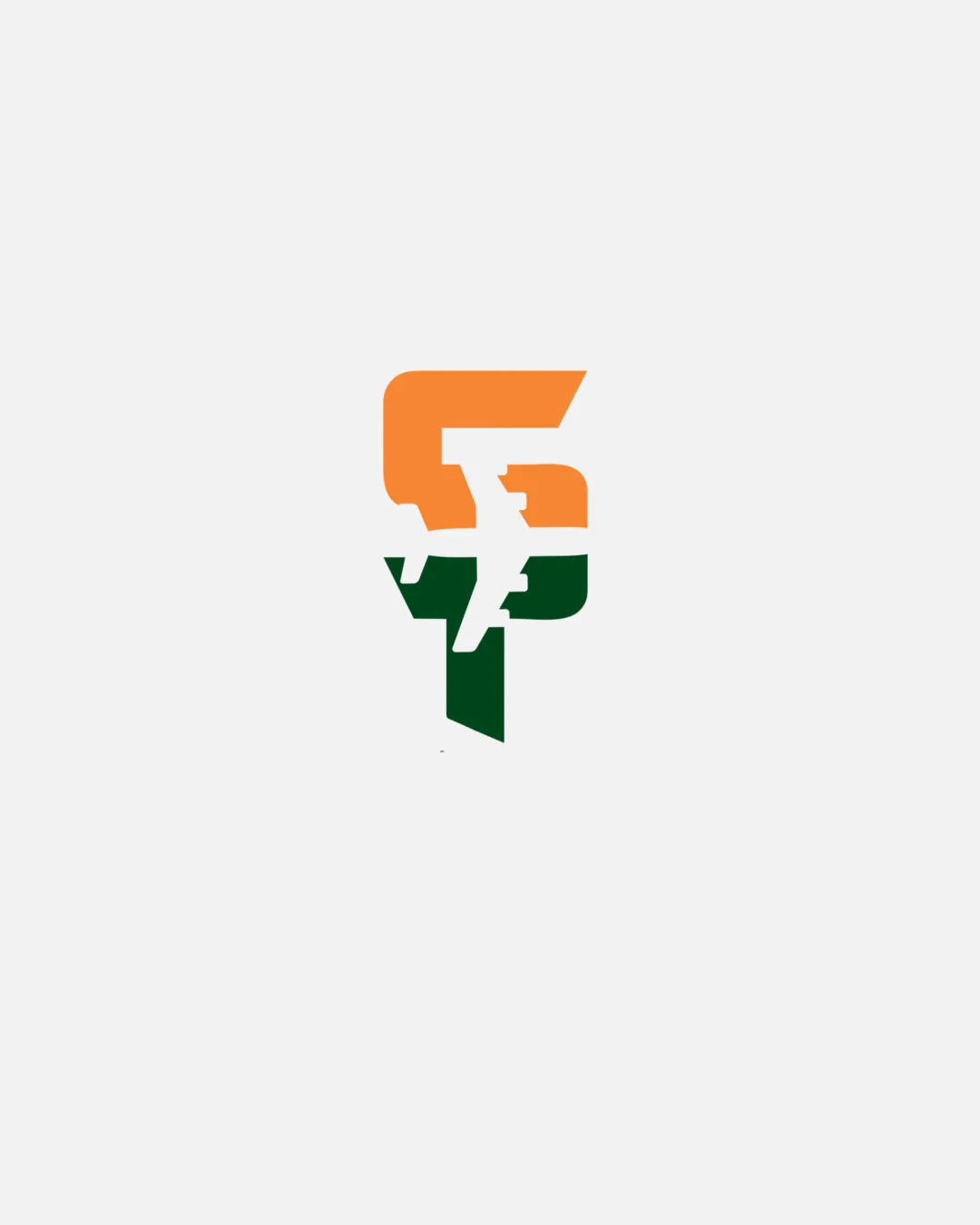 Modern Geometric Interlocking Airplane Logo logo