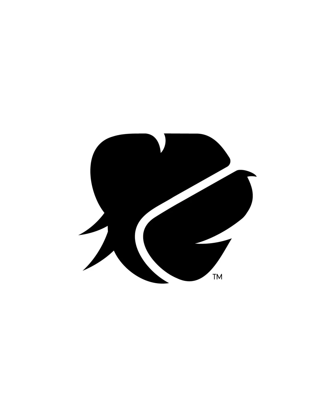 stylized bird in flight / abstract mark logo review