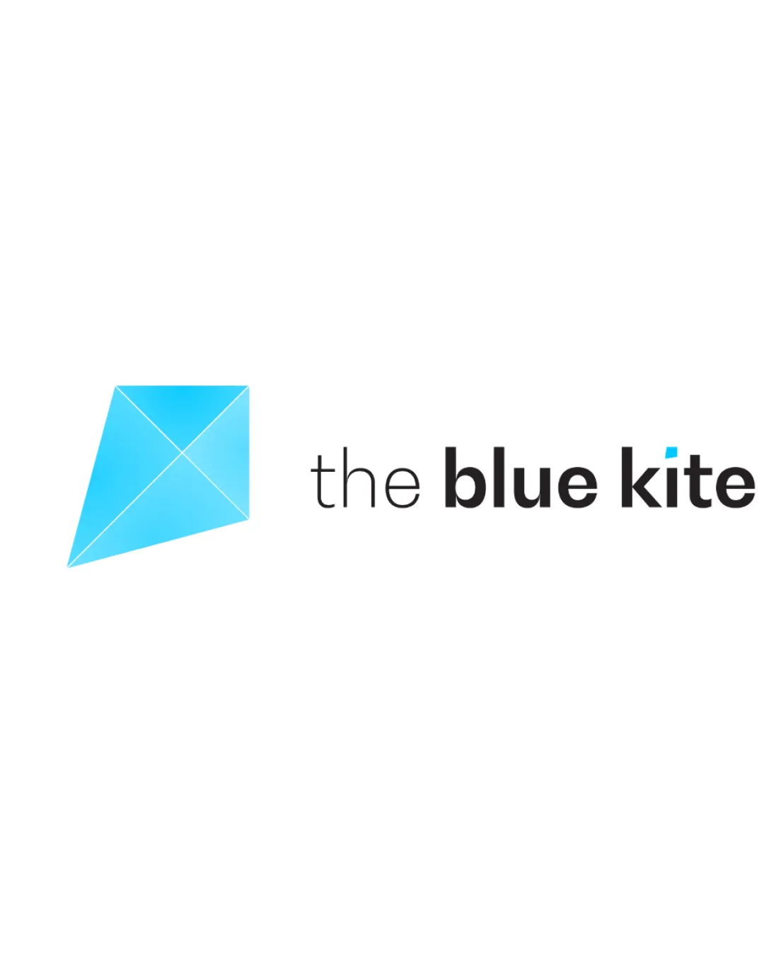the blue kite logo review