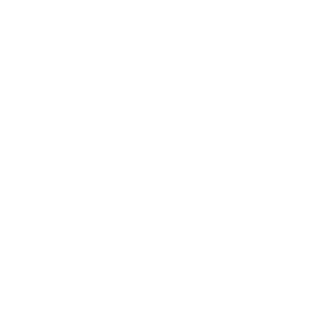 HAYAAK logo