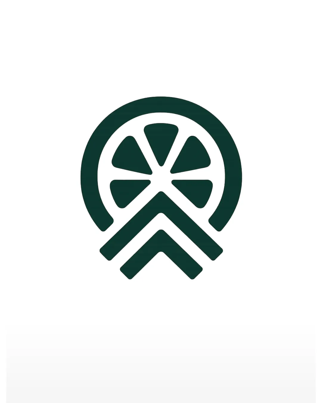 Bold Geometric Symmetrical Abstract Logo logo