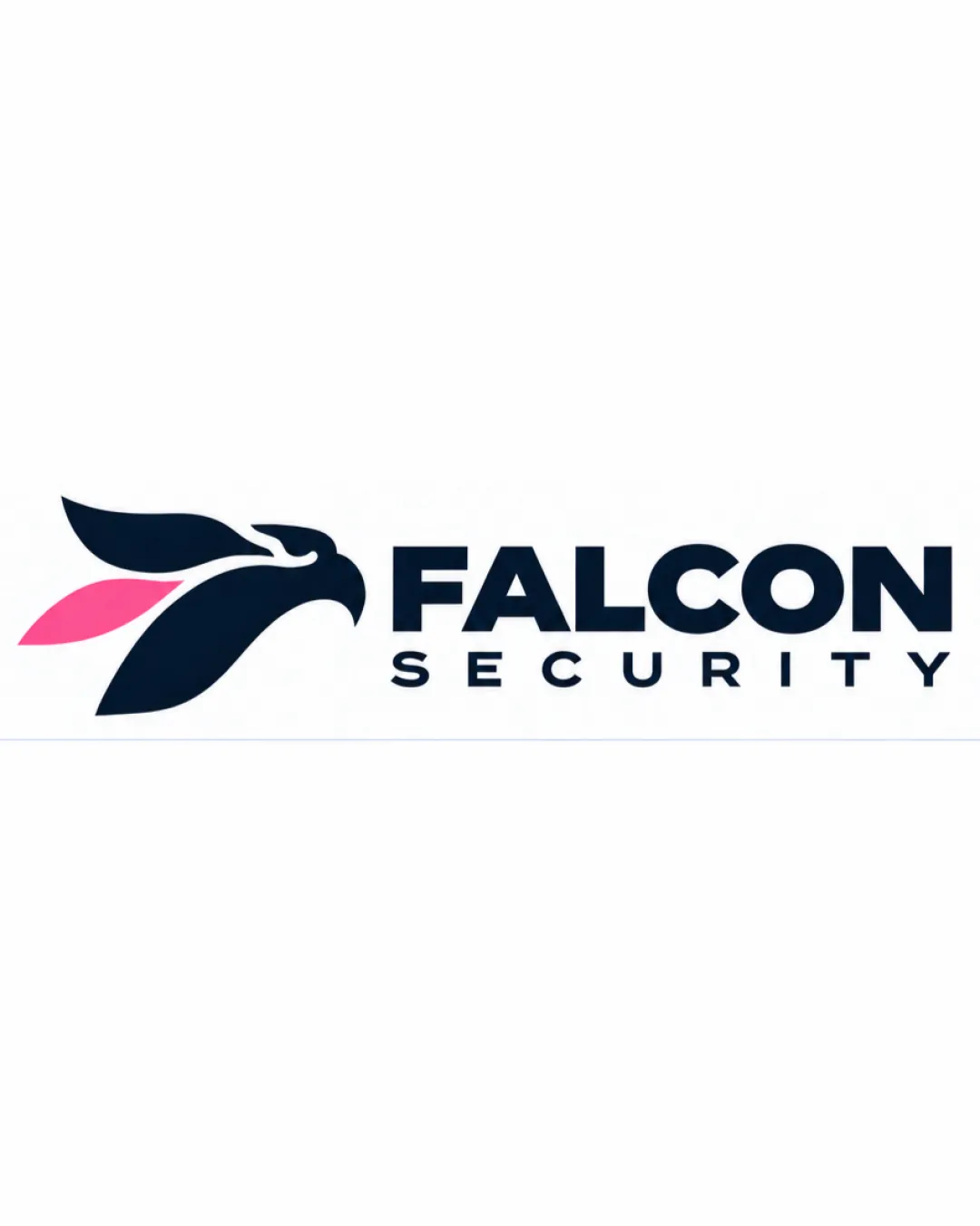 Falcon Security Modern Logo Review logo