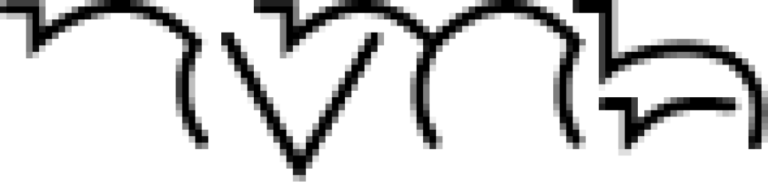 nvnb logo