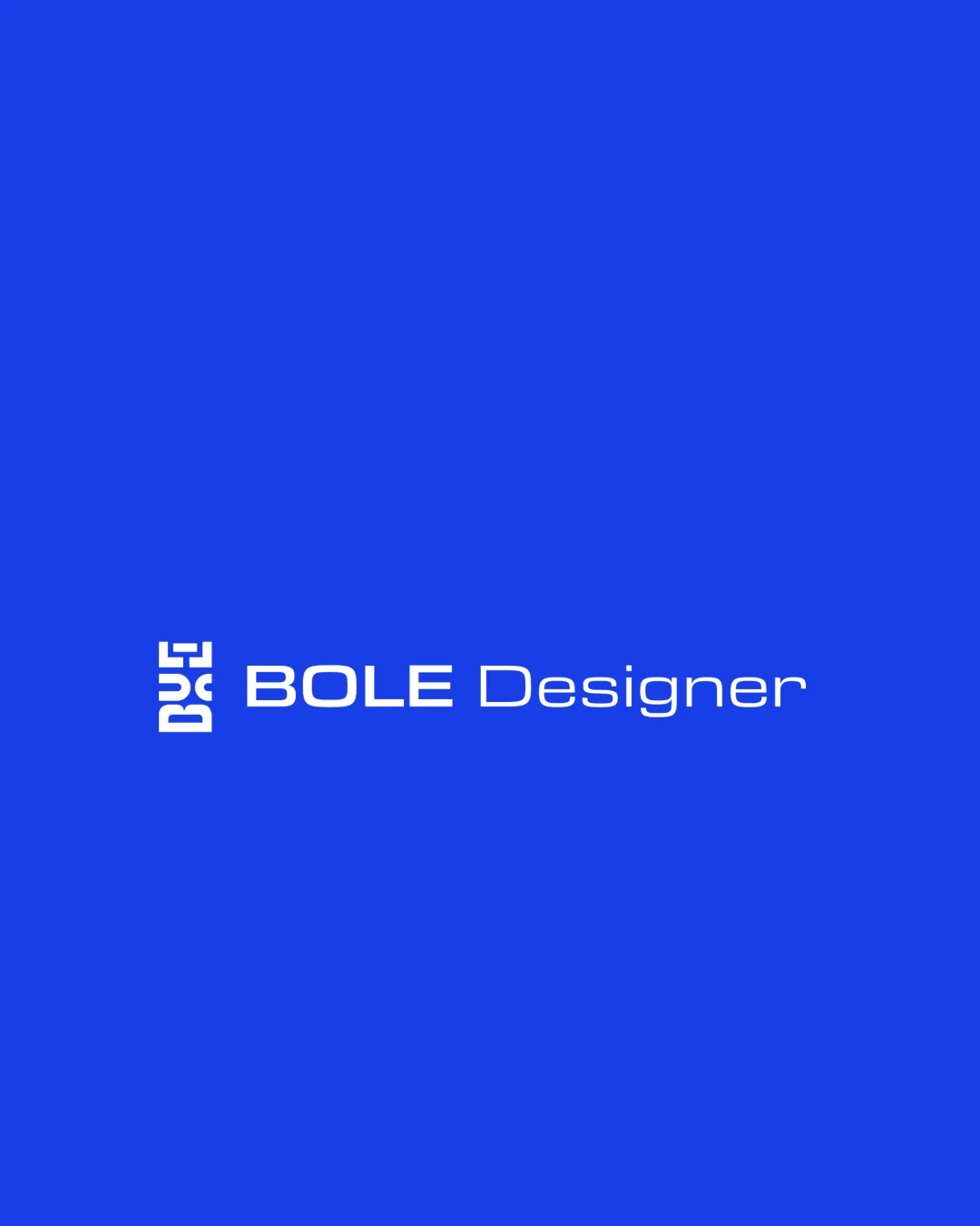 Bole Designer Services Logo Review logo