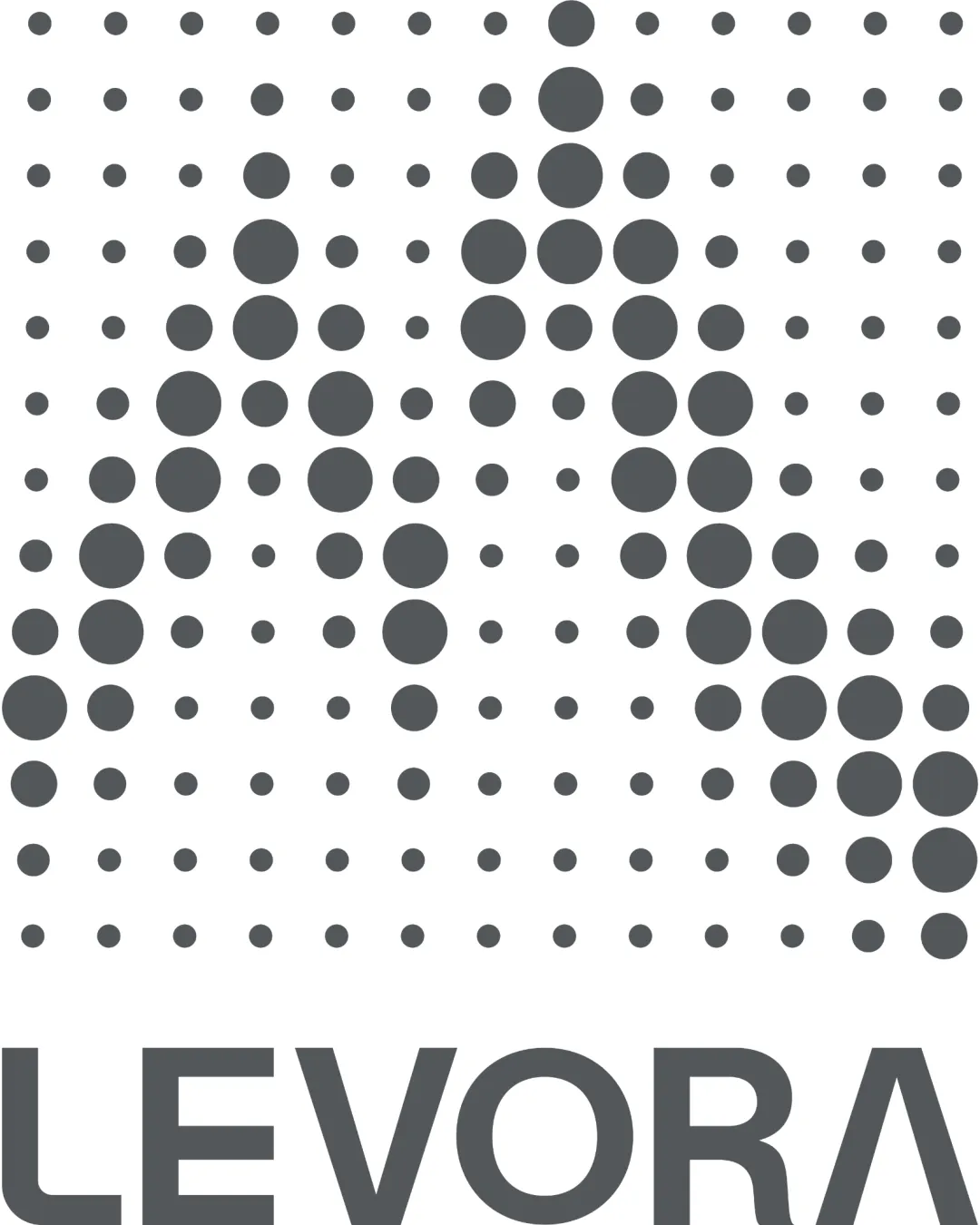 Levora Technology Logo Review Hqmg7o logo