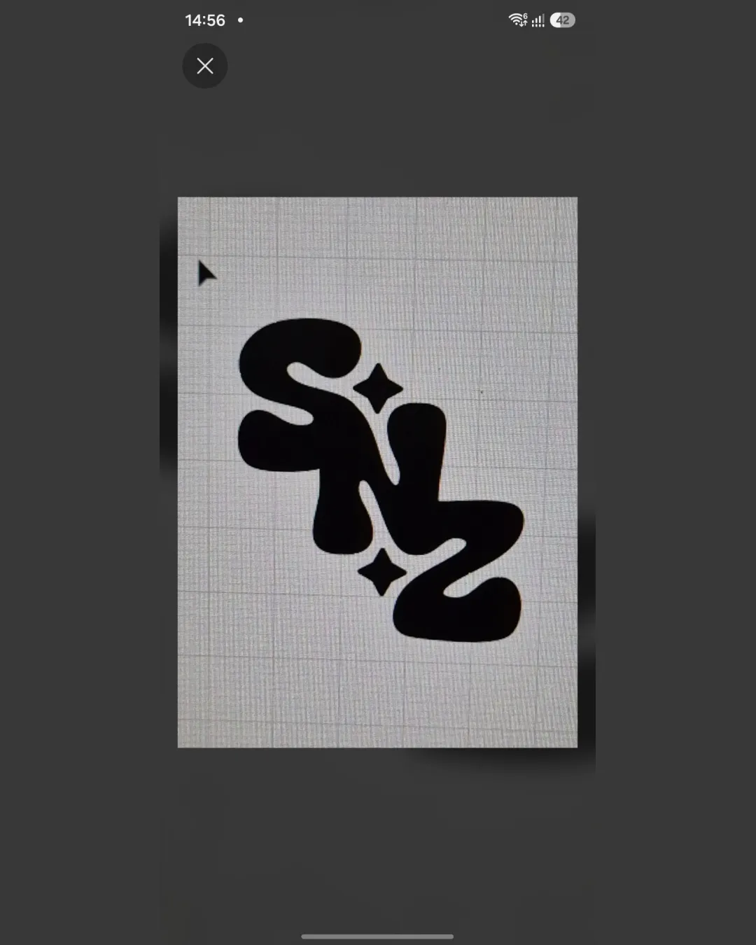 Snz Playful Logo Review S8ashg logo