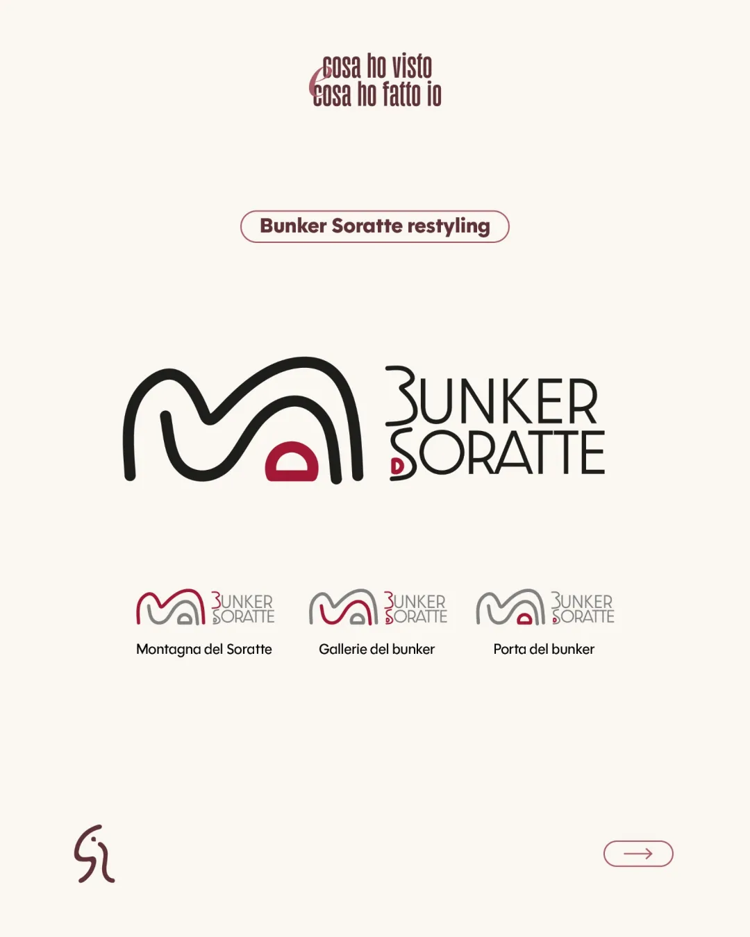 Cosa Ho Visto Historical Logo logo