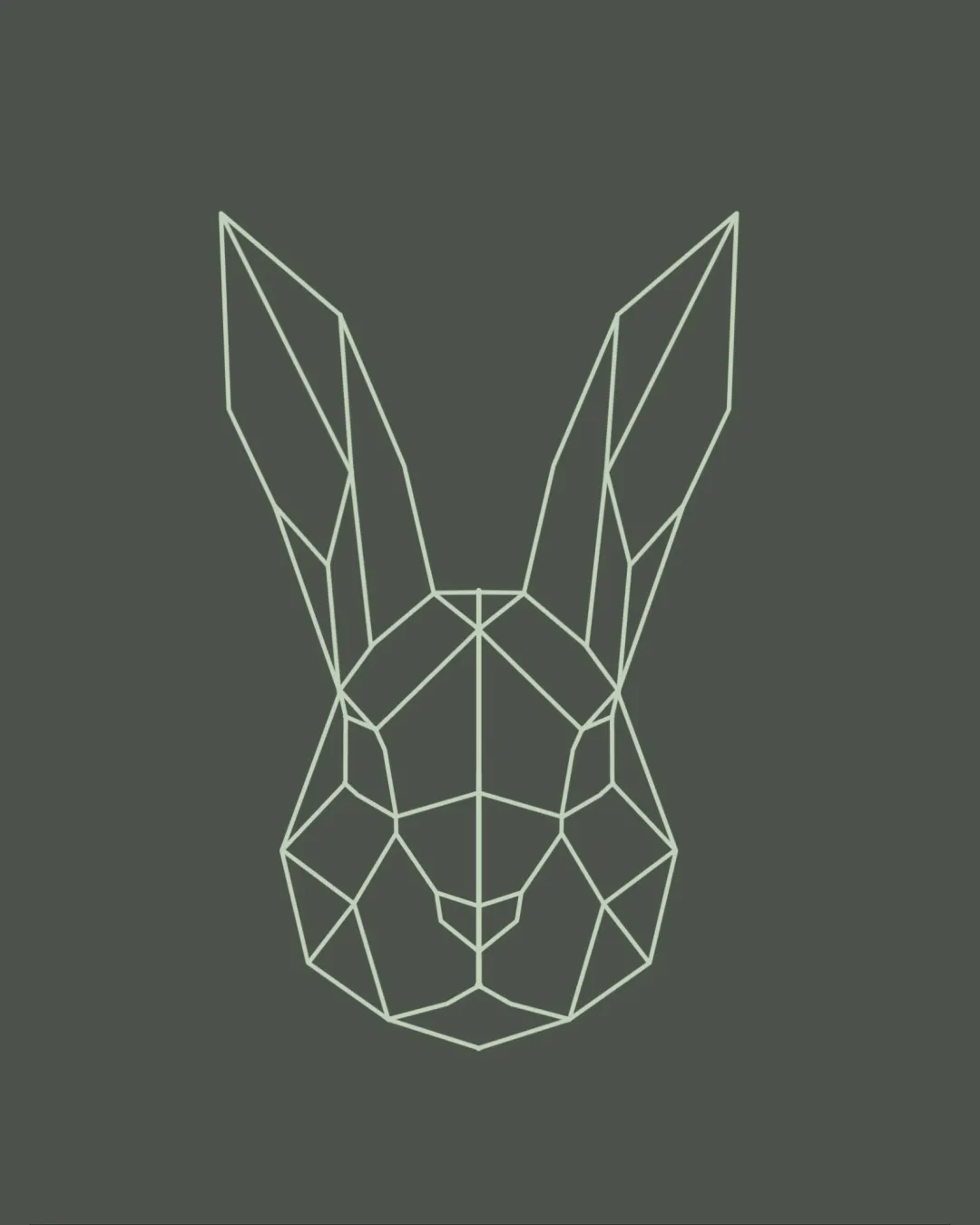 Geometric Line Art Rabbit Logo logo