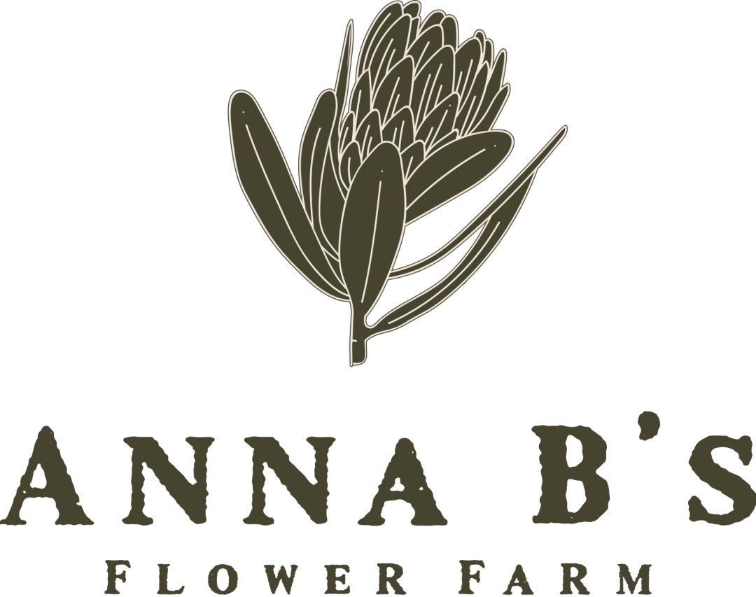 ANNA B'S FLOWER FARM logo logo
