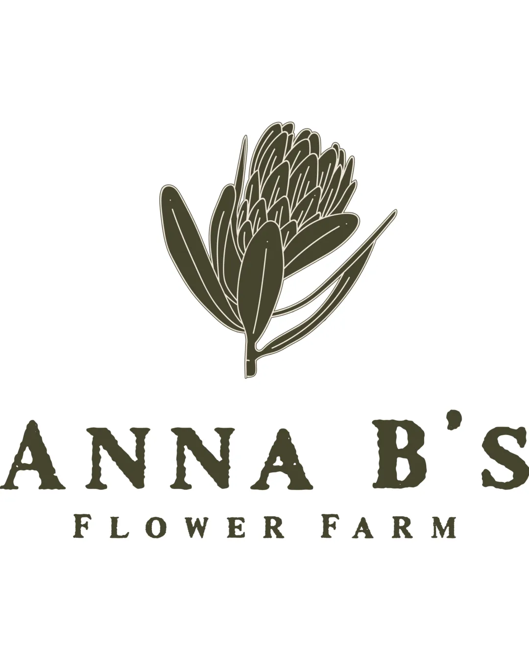 Anna B S Agriculture Logo logo