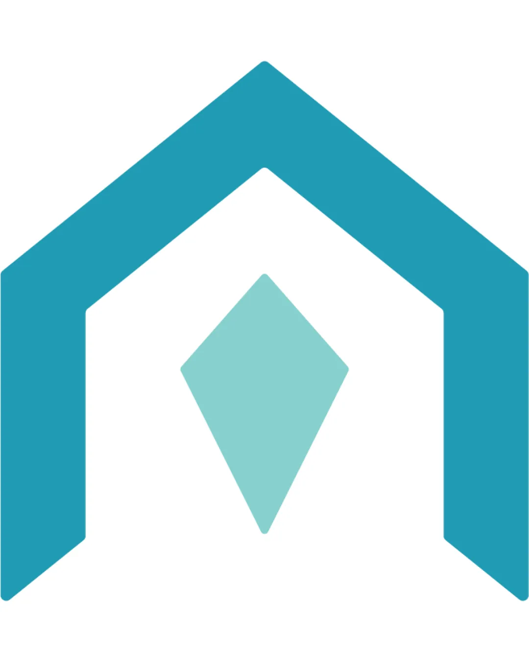 Flat Geometric Abstract Angular Logo logo
